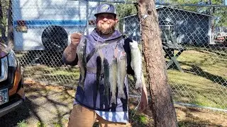 TROUT LIMIT FISHING PINE HOLLOW RESERVOIR! *trophy*