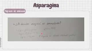 Ionizacion de la Asparagina