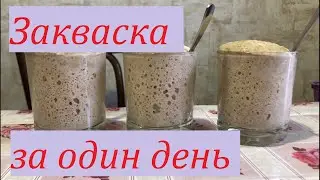ЗАКВАСКА ДЛЯ ХЛЕБА