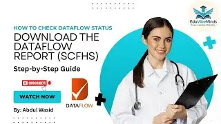 How to Check DataFlow Status & Download the DataFlow Report (SCFHS) &mdash; Step-by-Step Guide