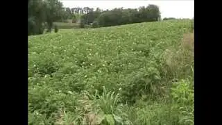 IHartHarvest, Inc. - The Potato Project 2013, Fall Harvest Call