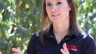 How Nectarines are Grown and Harvested