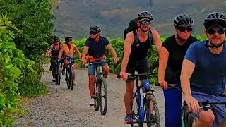 Top 5 Reasons to explore the Cape Winelands by bike