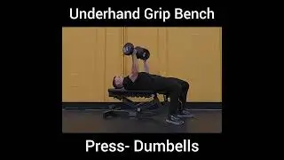 Underhand Grip Bench Press- DB