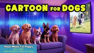 Cartoons for Dogs: Top Entertainment for Puppy when home alone 🐾 In Color They Can See 💗✨