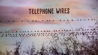 Smith & Thell - Telephone Wires (Lyric Video)