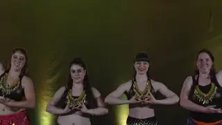 Indian Fusion Dance Performance | Bauchtanz & Bollywood Elemente | Sommerfest 2025