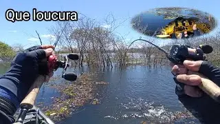Testei a isca rei do rio 80
