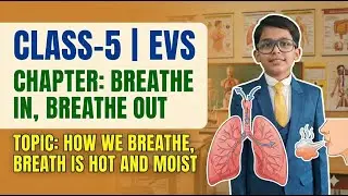 Class-5 | EVS, Chapter- Breathe in Breathe out, Topic- How we Breathe, Breathe is Hot and Moist #evs