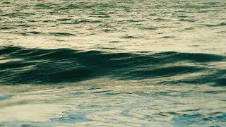 Isaac App - WAVES OF BLAME