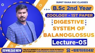 (Lt-05) Digestive System Of Balanoglossus || Zoology 1st Paper || B.Sc.2nd Year