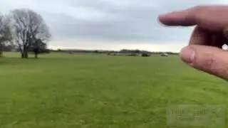 Dog chasing sheep caught on video.