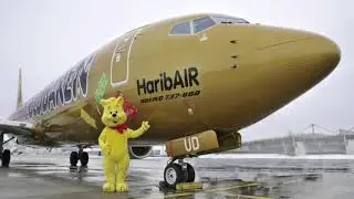 Top 20 Most creative liveries