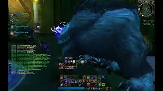 menopaws bug pull in ST basement