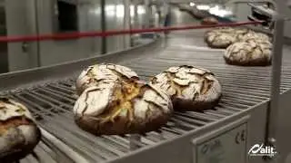 ALIT Conveyors & Food Processing - Company Profile