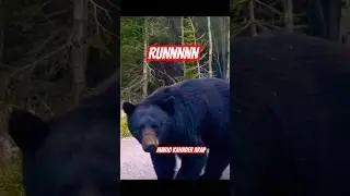 Black Bear Gets WAY Too Close 😱 | 