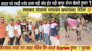 आदात मधे एकही शर्यत हरला नाही 💯जोड होत नाही म्हणून ओपन खेळतो तुफान 🌪️