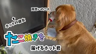 【両思いの二人が可愛すぎる】引っ越しして来たワンちゃんに『たこ焼き』を届けるホット君