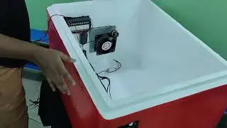 কিভাবে ভাল ইনকিউবেটর তৈরি করবেন