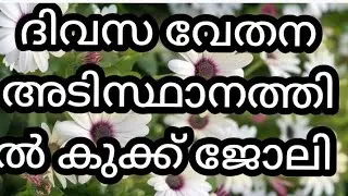 കുക്ക് ഒഴിവ് /  cook job, hospital job 2025 | Job vacancy kerala  jobs Malayalam |#jobs #vacancy#new