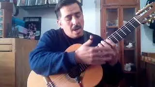Tutoriales de Requinto 