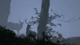 Early Action on a Roosevelt Bull Elk in Low Def. 2022 started off fast!