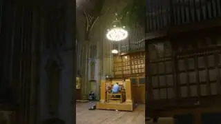 Demonstration of the 1877 Cavaille-Coll strings, Voix Humaine and Harmonic Flutes