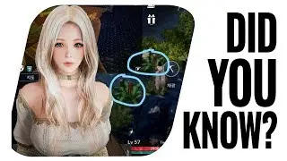 Tips for Hardcore players - Black Desert Mobile - Mobirum Live!
