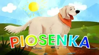 🐶ŁAPY, ŁAPY CZTERY ŁAPY🐶- Piosenka Dla Dzieci - PiesioTv 🐾