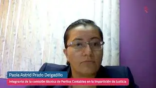 Peritaje contable en delitos fiscales