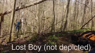Spring has sprung in the Agreement Forest