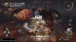 Nioh: Dual Sword DPS vs. Hyakki Yagyo