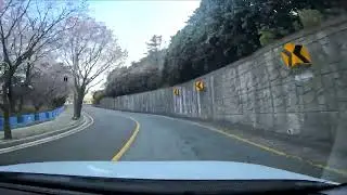 daytime driving