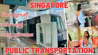 Public Transportation System in Singapore | BUS | MRT | LRT | සිංහල Vlog | Singapore Vlog 🇱🇰 🇸🇬