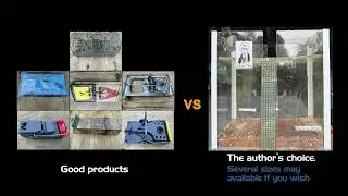 Rats & Mice Control