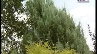 Удачи на даче. 15.09.2013