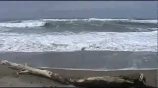 Easter at Spanish Head