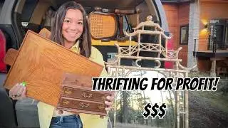 Thrifting for profit! $$$