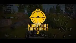 M416+vector (Deadly combo) UNREGULAR PRO