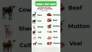 Animal's Meat Names#animals#meat#names#english#vocabulary#shorts