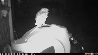 VID0020