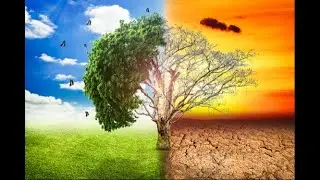 OSQ Livestream 08/10/2023 Trans Climatism