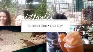 Bacolod: Zoo &bull; Last Day