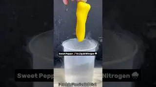 Sweet Pepper 🌶️ Vs Liquid Nitrogen 🌧️ #Satisfying #Experiment #Science #ASMR #LiquidNitrogen