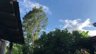 T 41 Cessna&rsquo;s and SF 260 Marchetti&rsquo;s flyby