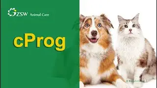 〖cProg〗What is the significance of using a canine progesterone kit test in the clinic?