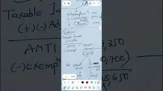 AMT -alternate minimum tax for individuals --usa taxation