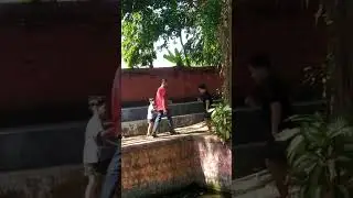 Naga tertawa #sound #song #soundviral #viralvideo #trending #music #reels #shorts #renang