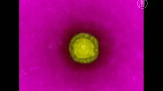 Вирус MERS опасен, но не угрожает всему миру (новости)