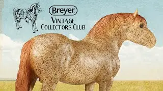 Breyer Vintage Club: празднование истории модельных лошадей | Модель лошади Брейера